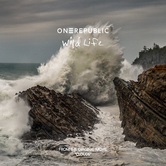 کاور آهنگ Wild Life از OneRepublic