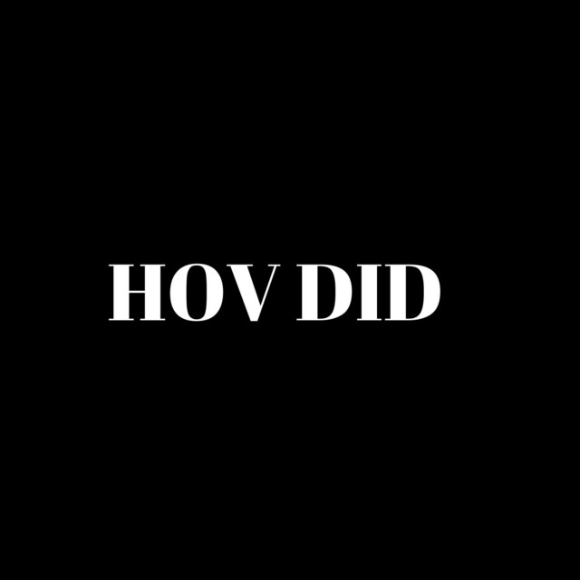 کاور آلبوم HOV DID از JAY-Z