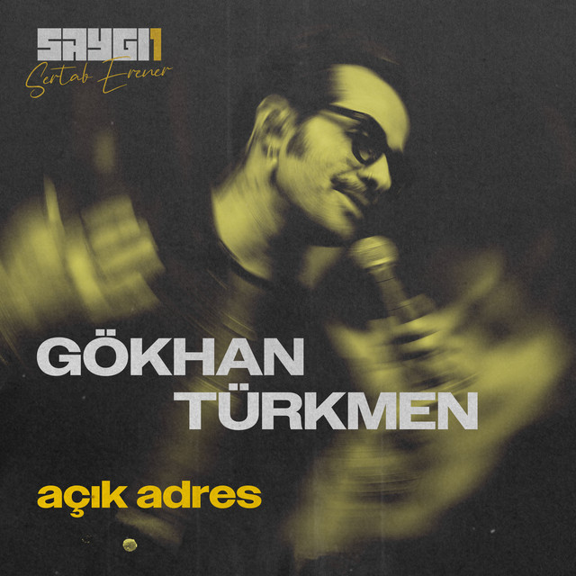 کاور آهنگ Açık Adres - SAYGI1 از Sertab Erener, Gokhan Turkmen