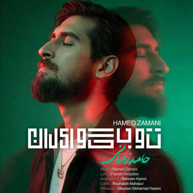 کاور آهنگ تو بگو ایران از حامد زمانی