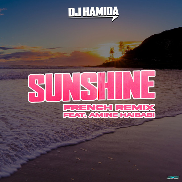 کاور آهنگ Sunshine - French Remix از DJ Hamida, Amine Haibabi