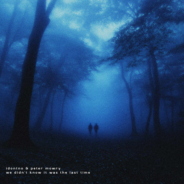 کاور آلبوم we didn't know it was the last time از idontno, Peter Mowry