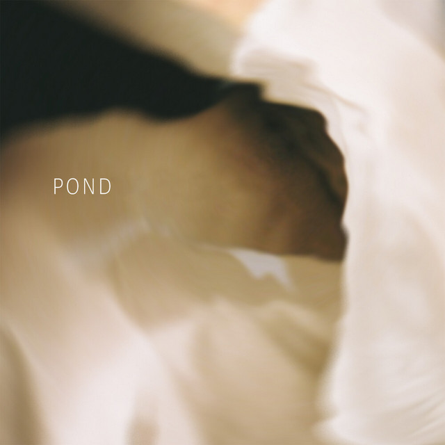 کاور آلبوم Pond از Lara Somogyi