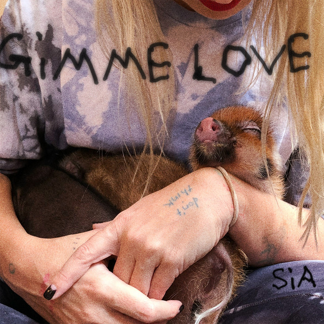 کاور آهنگ Gimme Love از Sia