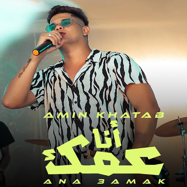 کاور آهنگ Mahragan Ana 3amk ( El Wa7sh Galko ) از Ameen Khattab