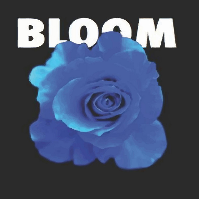 کاور آهنگ Bloom از G-SALIH
