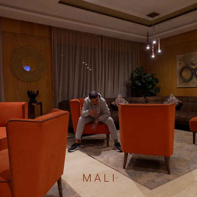 کاور آهنگ MALI از Tflow