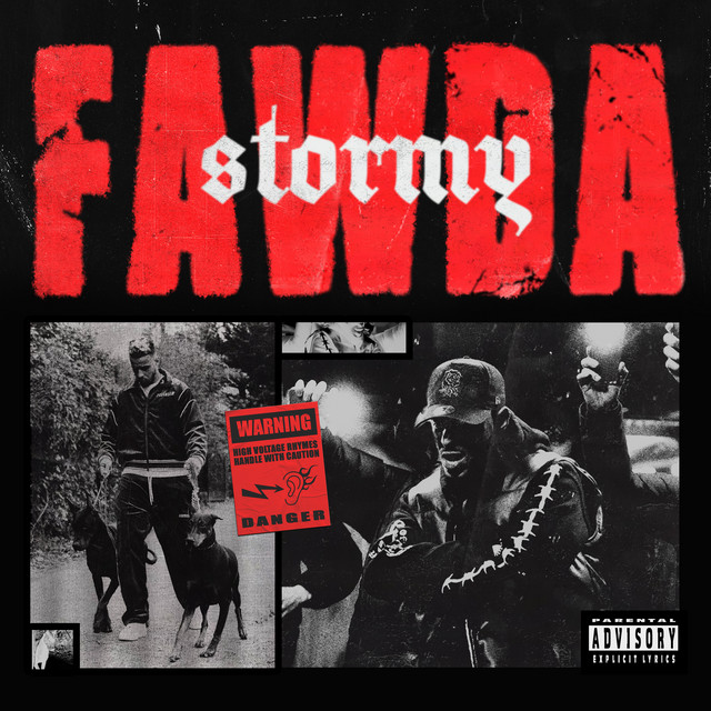 کاور آهنگ Fawda از Stormy