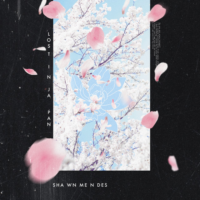 کاور آلبوم Lost In Japan از Shawn Mendes