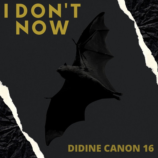 کاور آهنگ I Don't Now از Didine Canon 16