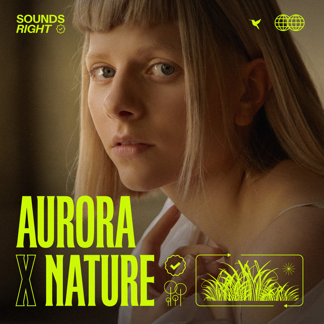 کاور آهنگ A Soul With No King - Remix (feat. NATURE) از NATURE, AURORA