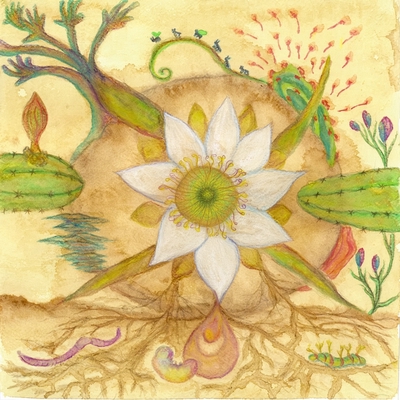 کاور آلبوم Vision Versions از Joaquin Cornejo, Markandeya