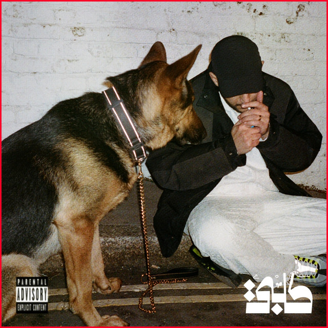 کاور آهنگ KALBI از Shabjdeed