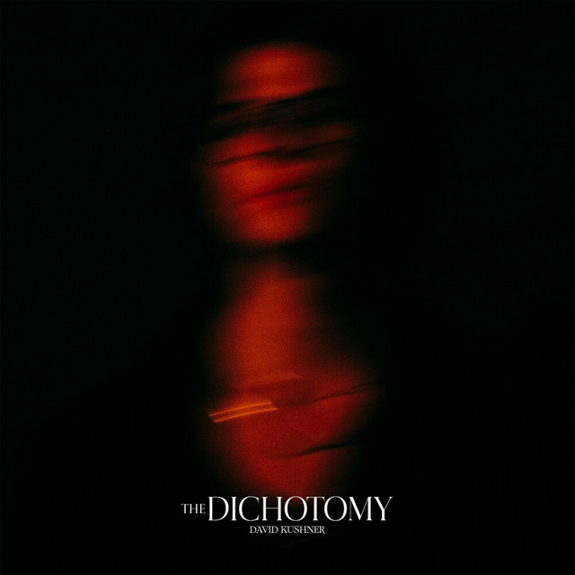 کاور آلبوم The Dichotomy از David Kushner