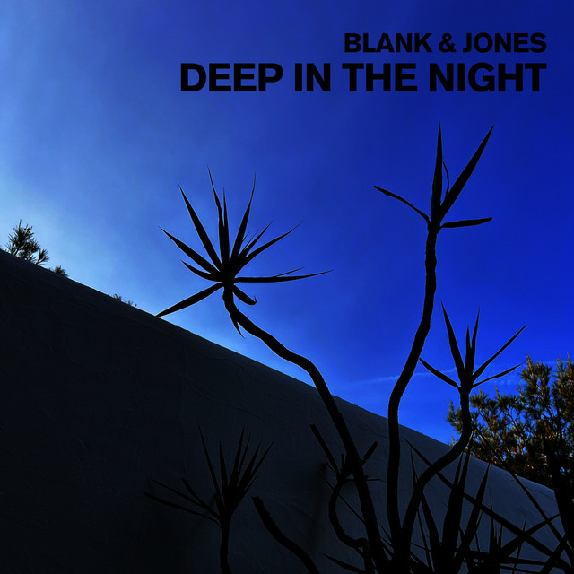 کاور آهنگ Deep in the Night از Blank & Jones