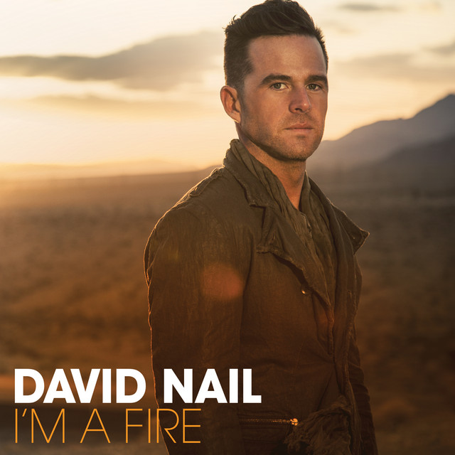 کاور آلبوم I'm A Fire از David Nail