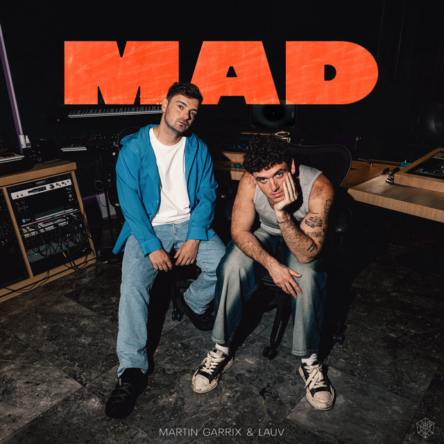 کاور آهنگ MAD - Extended Mix از Lauv, Martin Garrix
