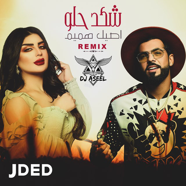 کاور آهنگ Shkad Helw (Remix) از Aseel Hameem, DJ Aseel