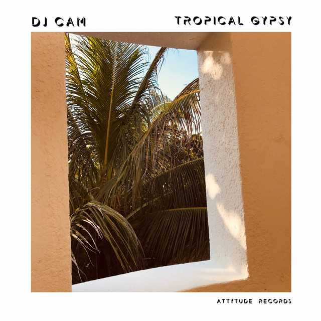 کاور آلبوم Tropical Gypsy از DJ Cam