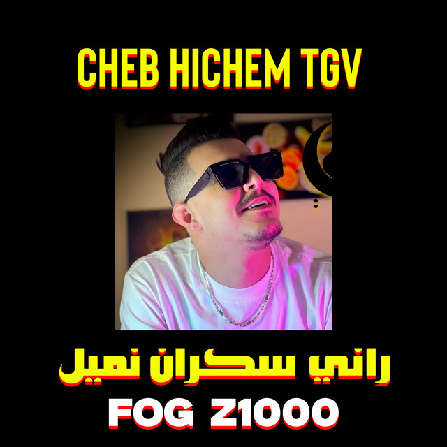 کاور آهنگ راني سكران نميل (Fog Z1000) از Cheb Hichem TGV