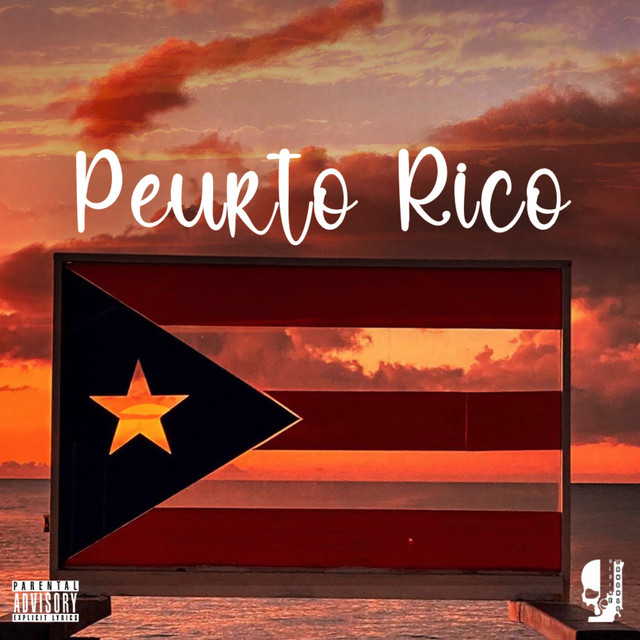 کاور آهنگ Peurto Rico از Didine Canon 16