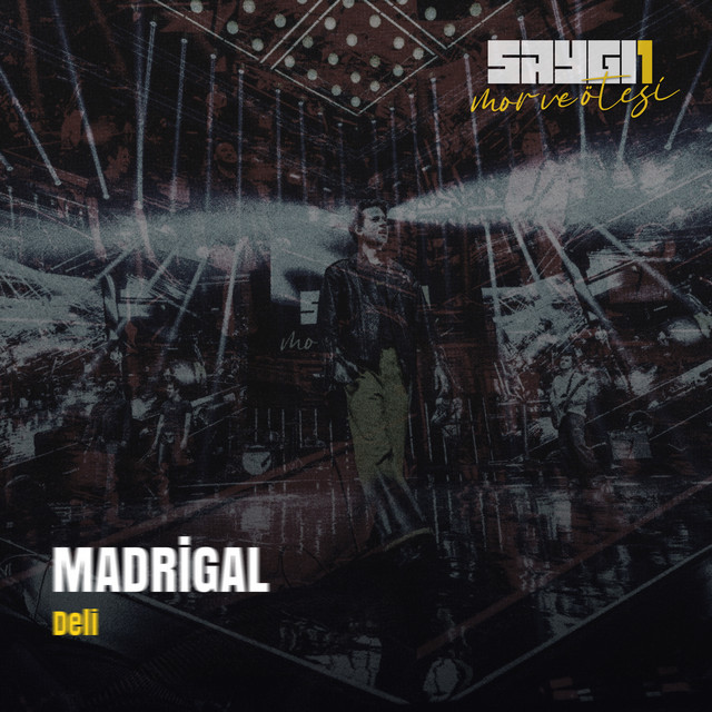 کاور آهنگ Deli - Saygi1 از mor ve otesi, Madrigal