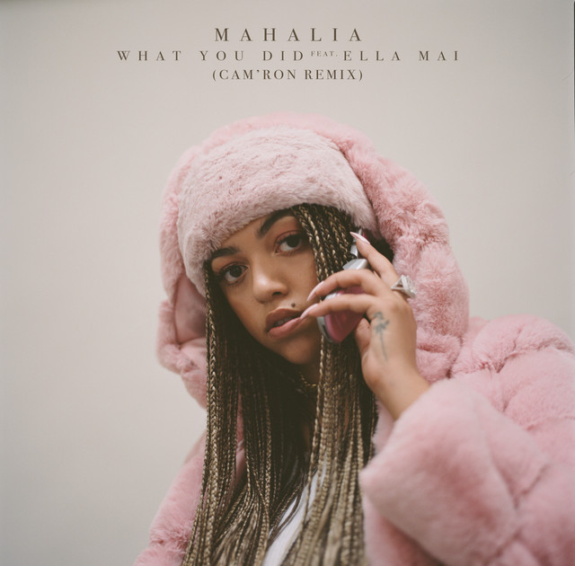 کاور آهنگ What You Did (feat. Ella Mai) [Cam'ron Remix] از Ella Mai, Cam'ron, Mahalia