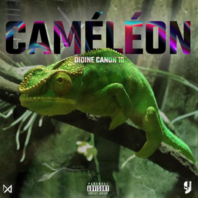 کاور آهنگ CAMELEON از Didine Canon 16