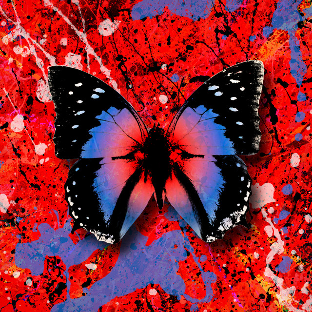 کاور آلبوم 2step (Star.One Remix) از Ed Sheeran, Star.One