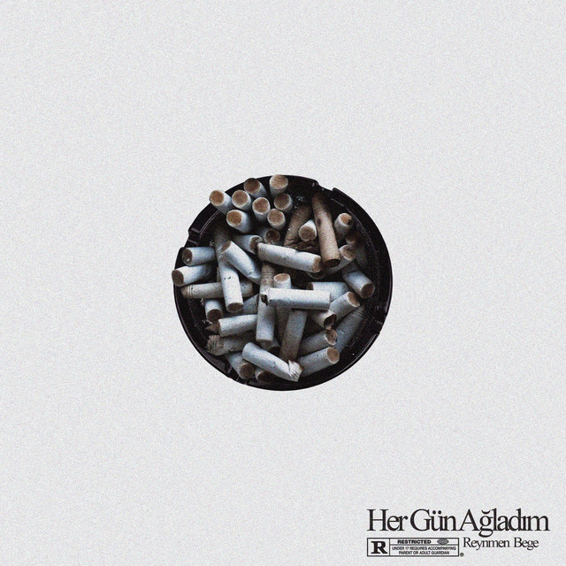 کاور آهنگ HER GÜN AĞLADIM از Reynmen, BEGE