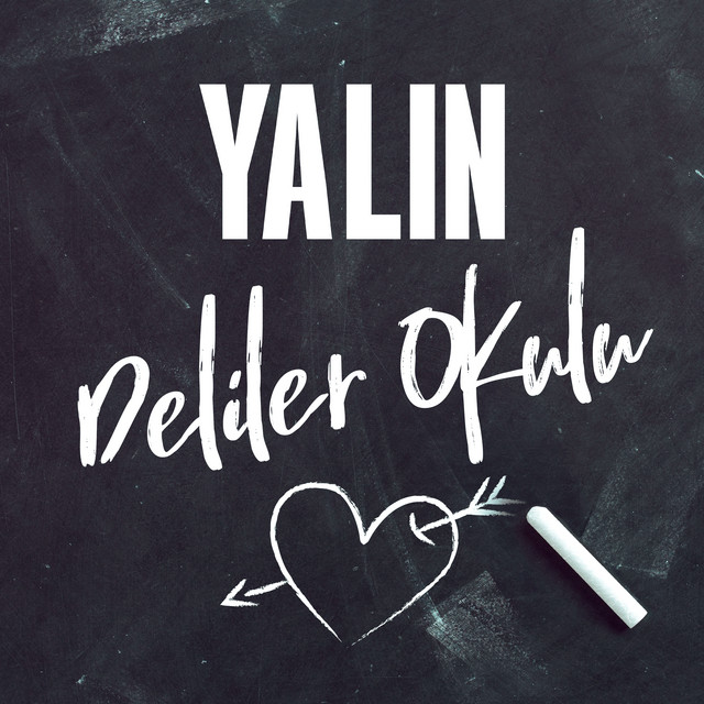کاور آهنگ Deliler Okulu از Yalin