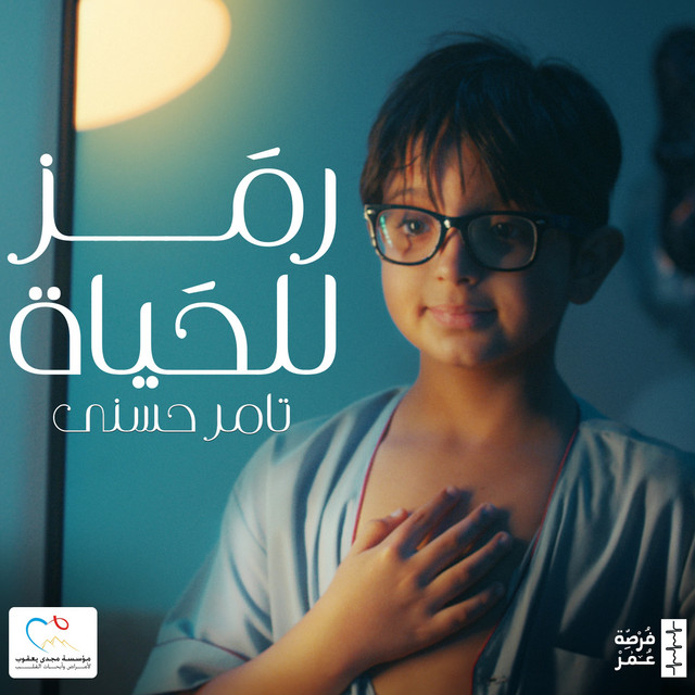 کاور آهنگ Forset Omr از Tamer Hosny