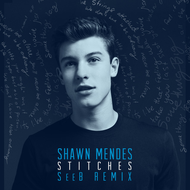 کاور آهنگ Stitches - Seeb Remix از Shawn Mendes, Seeb