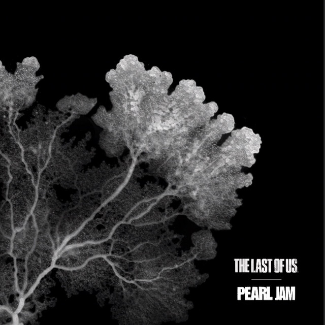 کاور آلبوم The Last of Us از Pearl Jam