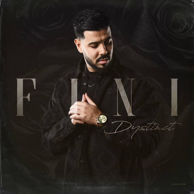 کاور آهنگ Fini از DYSTINCT