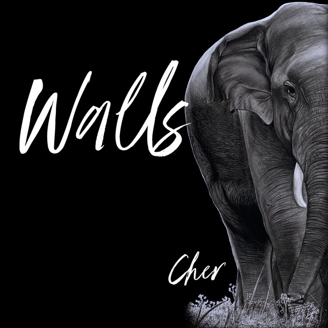 کاور آهنگ Walls از Cher