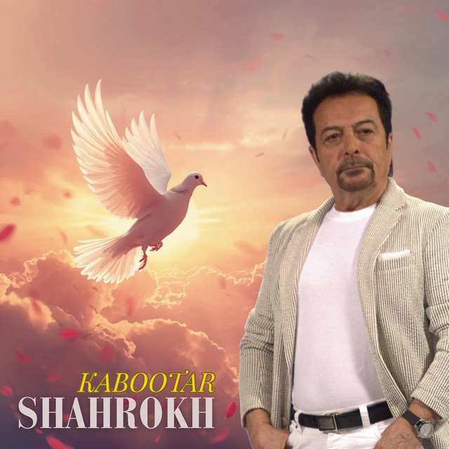 کاور آهنگ کبوتر از شاهرخ