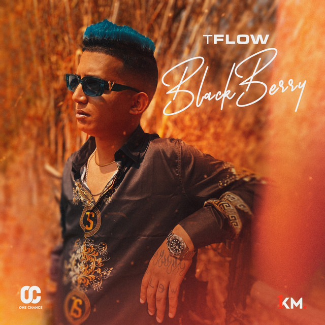 کاور آهنگ Blackberry از Tflow