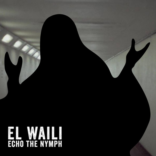 کاور آهنگ Echo The Nymph 2 از El Waili