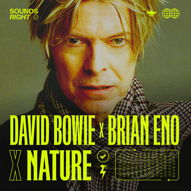 کاور آهنگ Get Real - Sounds Right Mix (feat. NATURE) از David Bowie, NATURE, Brian Eno