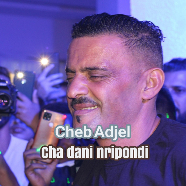 کاور آهنگ cha dani nripondi از Cheb Adjel