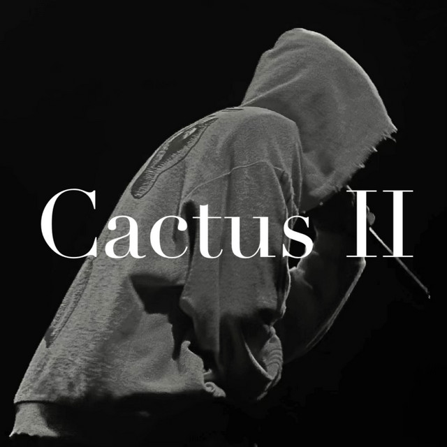 کاور آهنگ Cactus 2 از Raste