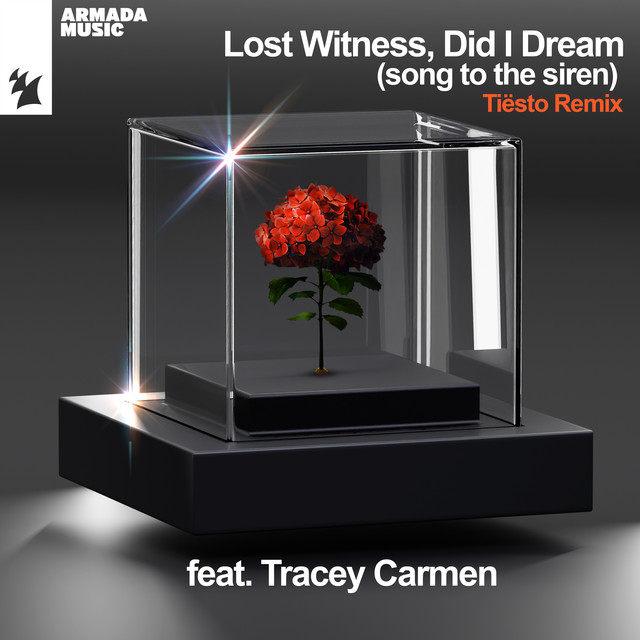 کاور آهنگ Did I Dream (Song To The Siren) - Tiësto Remix از Tiësto, Tracey Carmen, Lost Witness