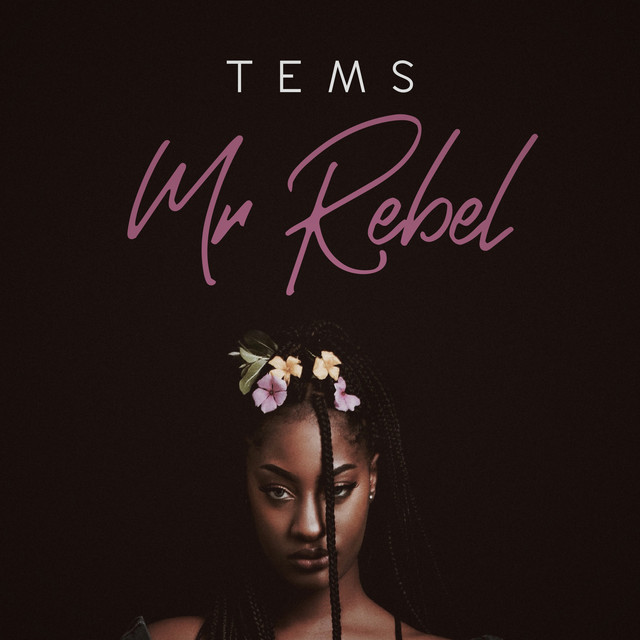 کاور آهنگ Mr Rebel از Tems