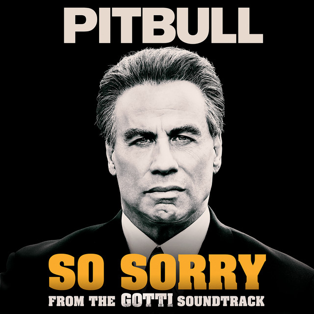 کاور آهنگ So Sorry از Pitbull