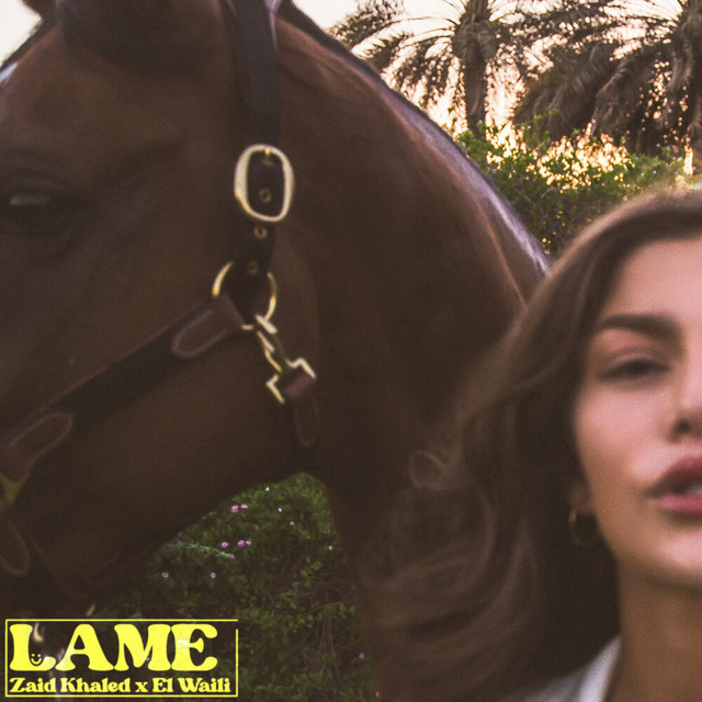 کاور آهنگ Lame از El Waili, Zaid Khaled
