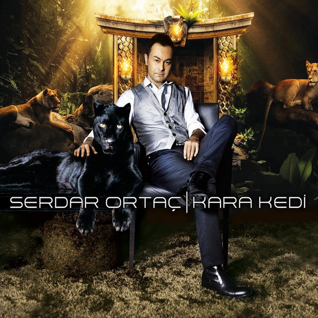 کاور آلبوم Kara Kedi از Serdar Ortac