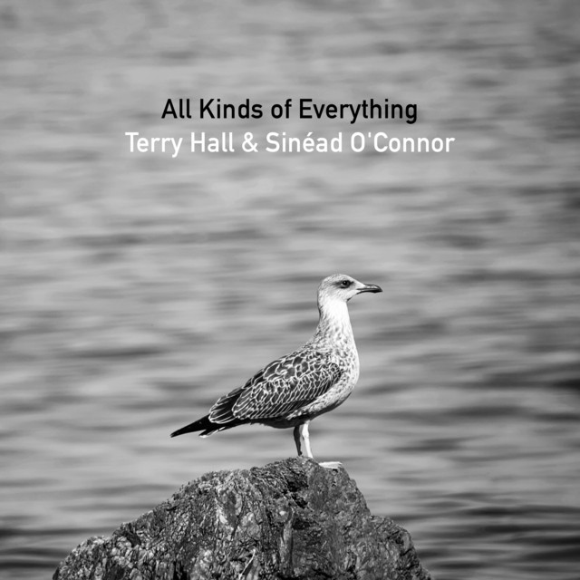 کاور آهنگ All Kinds of Everything از Sinead O'Connor, Terry Hall