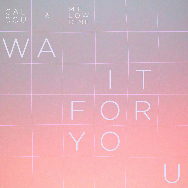کاور آلبوم Wait for you از Calcou