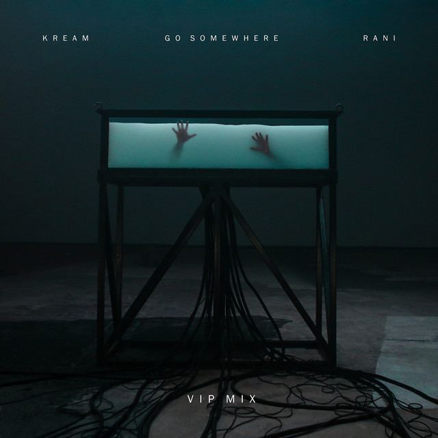 کاور آهنگ Go Somewhere - VIP Extended Mix از KREAM, RANI